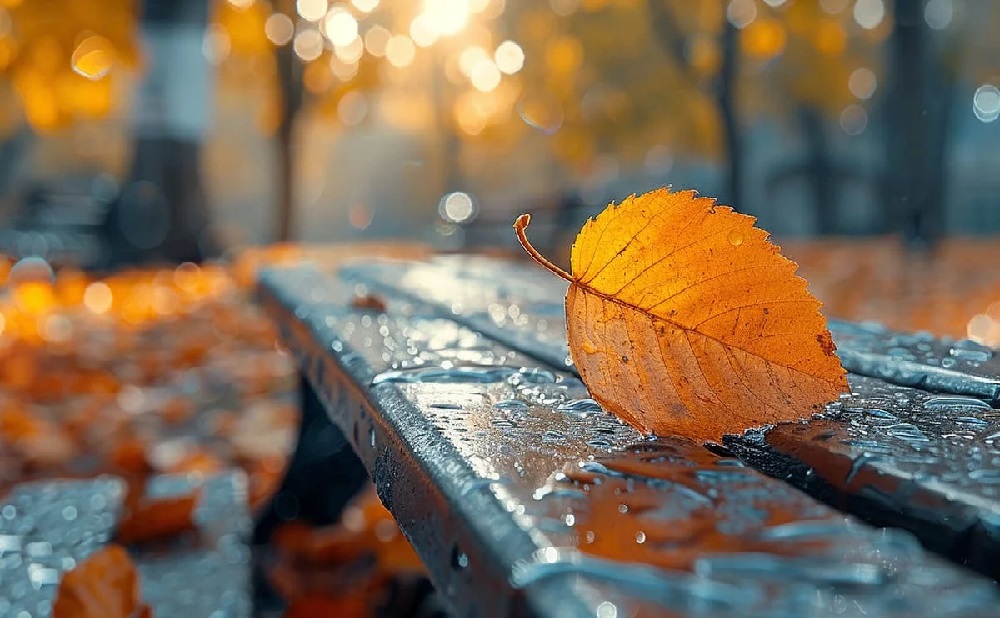 Туман и морозы: какую погоду прогнозируют синоптики в ЗКО 29 ноября